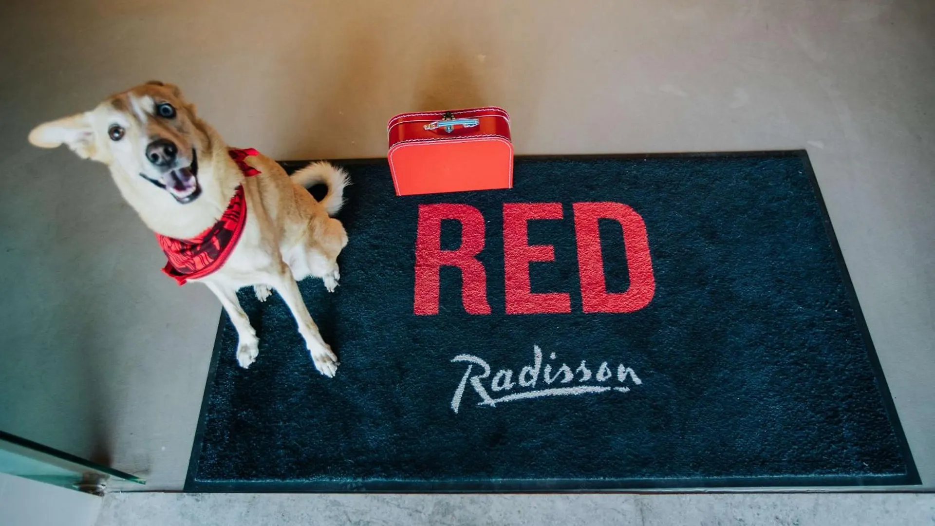Radisson Red Dubai Silicon Oasis Hotel 4*,